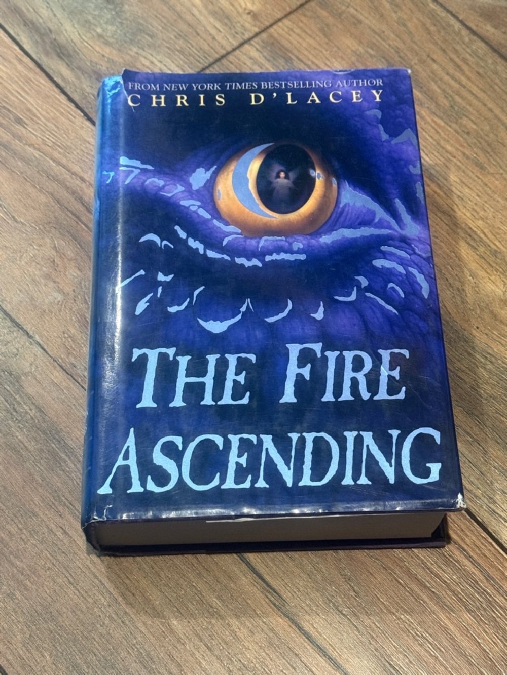 'The Fire Ascending' Hardcover Book - Blue
